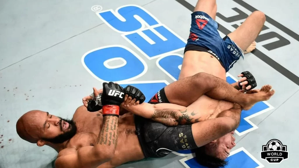 UFC是什麼
